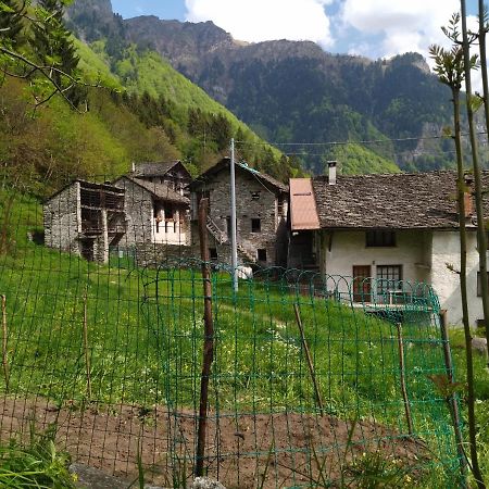 Il Fiume Di Fianco. Appartamento Alta Valsesia Mollia Eksteriør billede