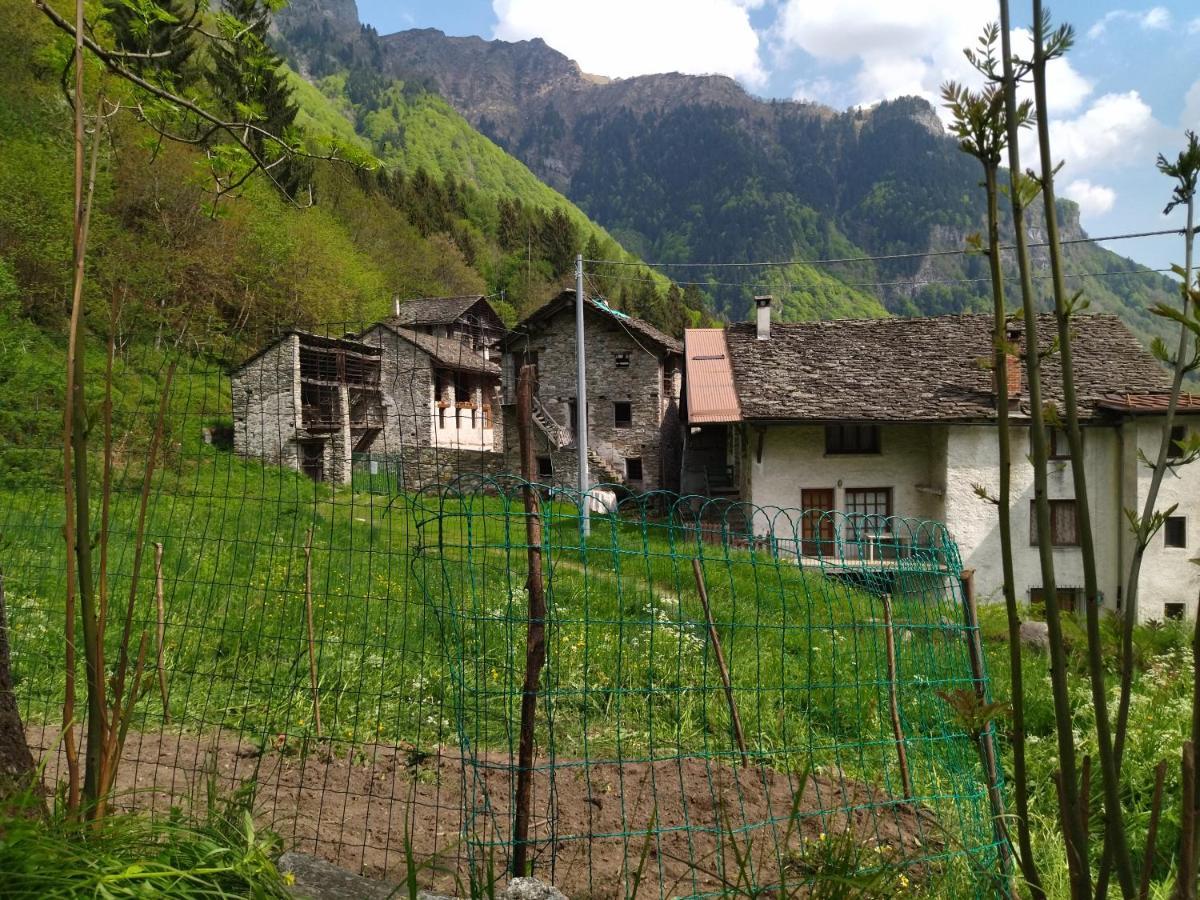 Il Fiume Di Fianco. Appartamento Alta Valsesia Mollia Eksteriør billede